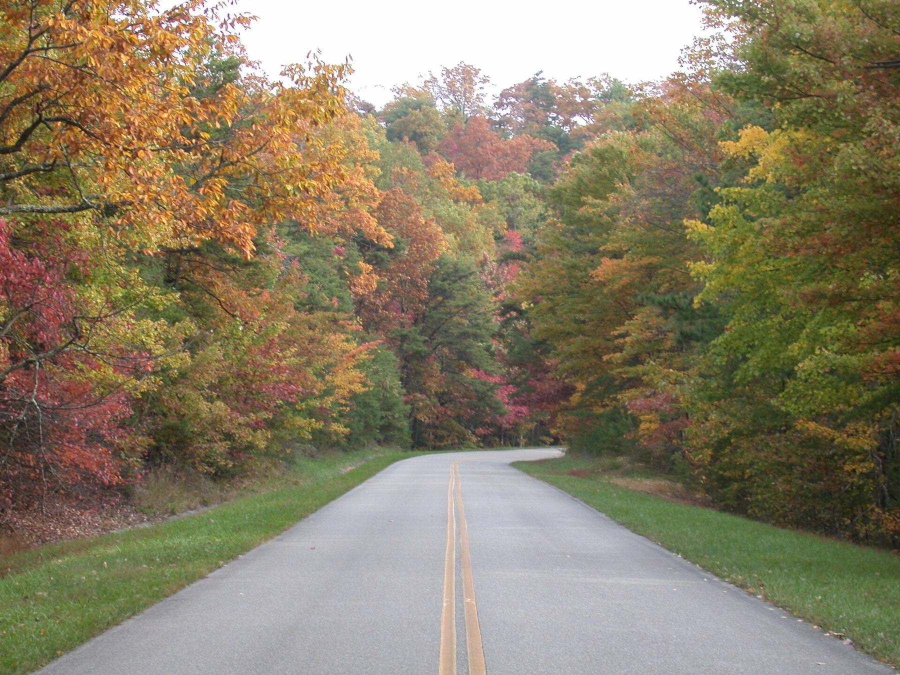 The Blue Ridge Parkway curving through autumn trees